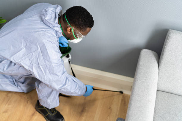 Best Residential Pest Control  in Quarryville, PA